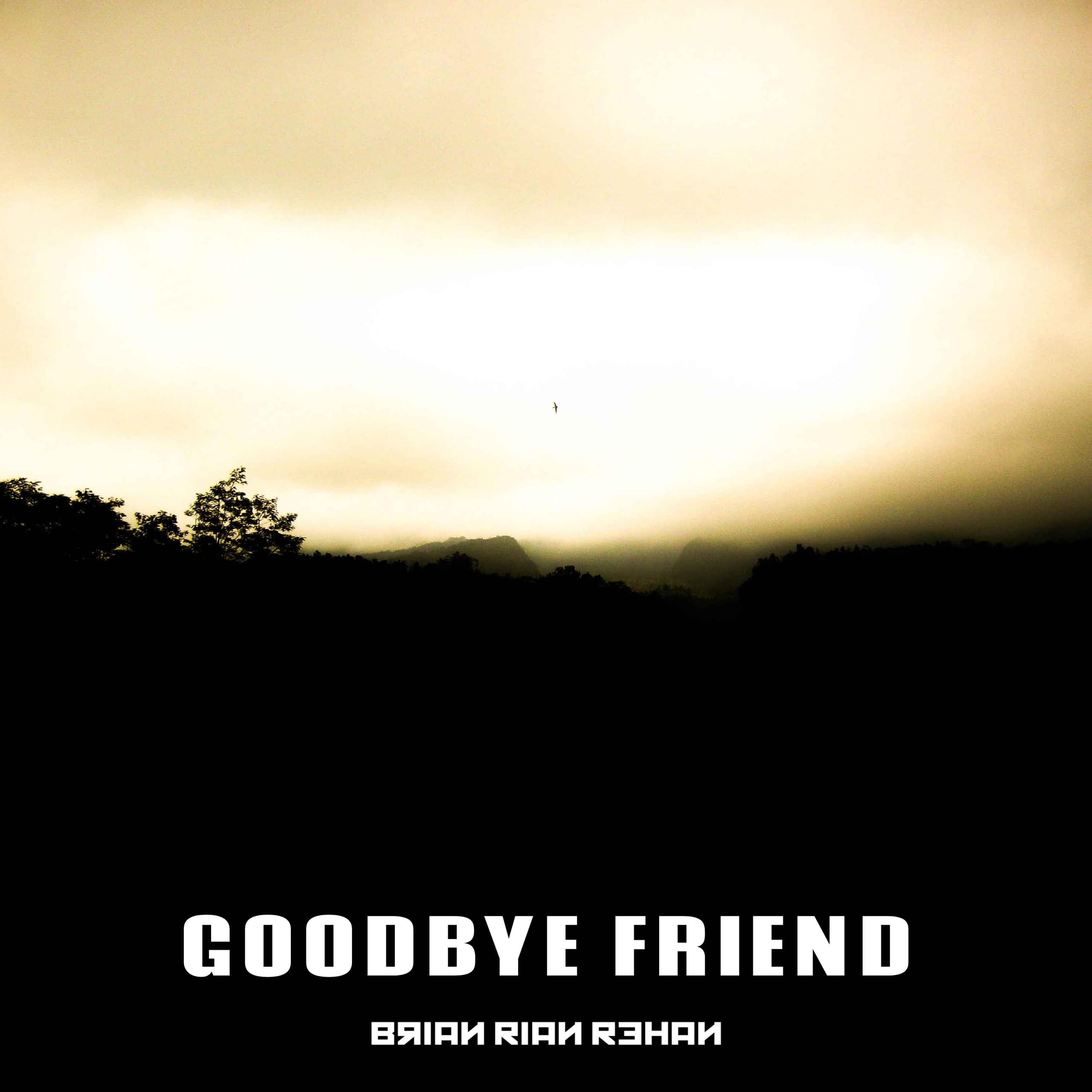 Goodbye Friend